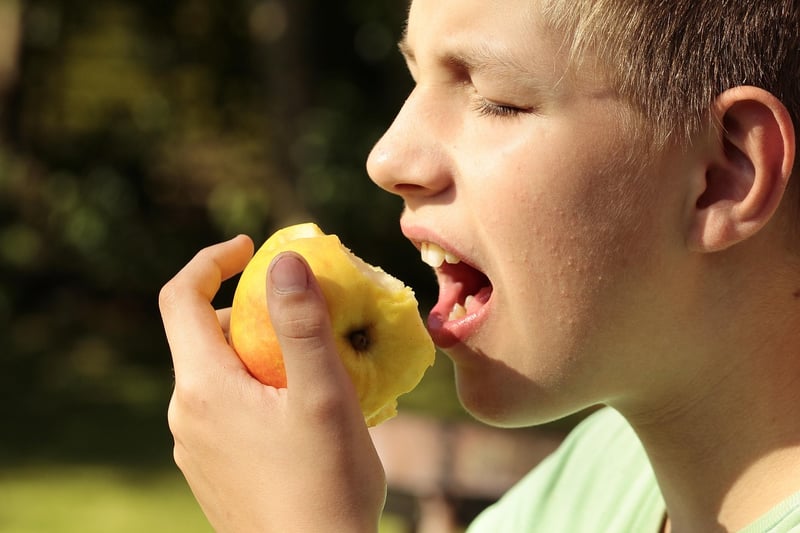 Satisfying Bites